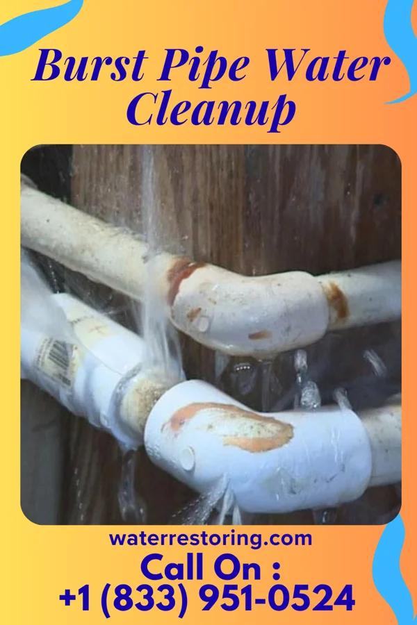 Burst Pipe Water Cleanup in Berwyn, IL