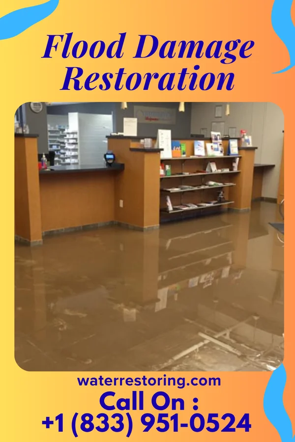 Flood Damage Restoration in Berwyn, IL