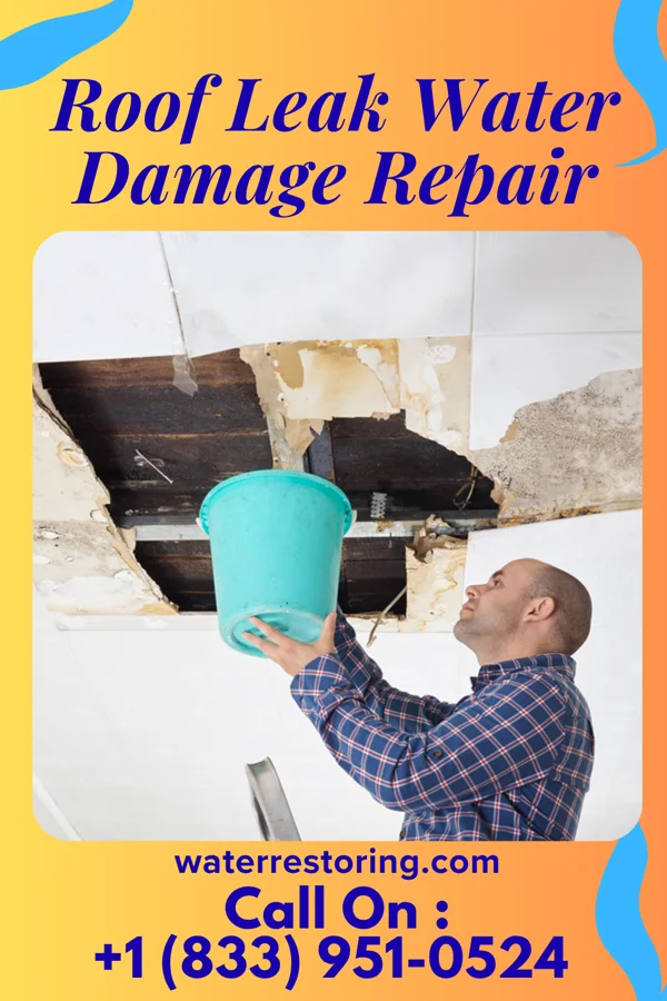Roof Leak Water Damage Repair in Berwyn, IL