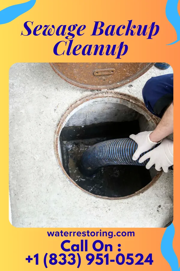 Sewage Backup Cleanup in Berwyn, IL