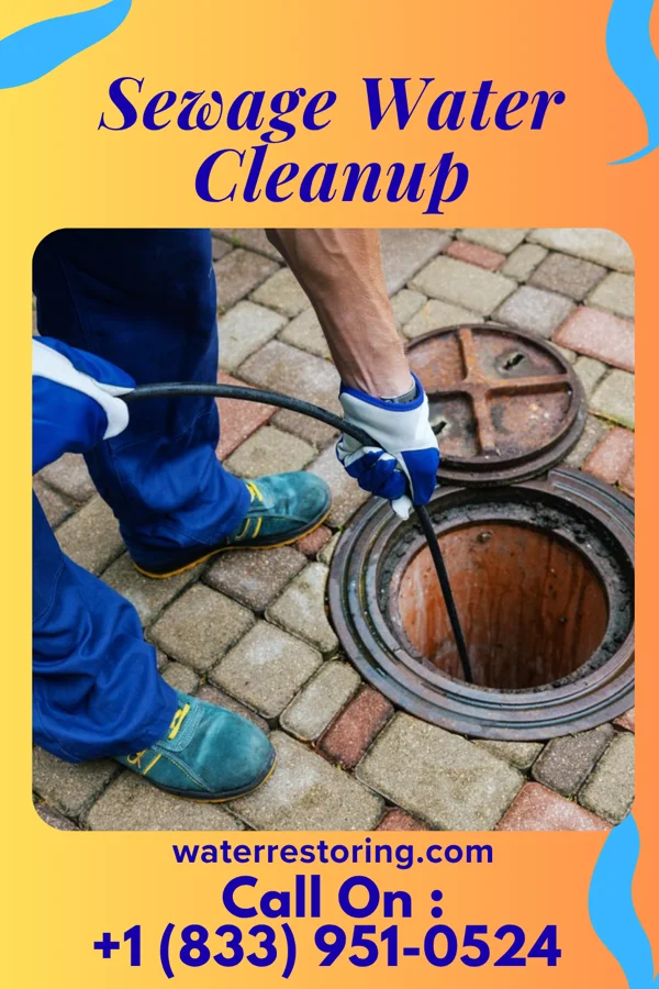 Sewage Water Cleanup in Berwyn, IL
